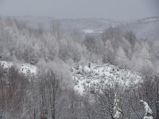 20130119 Kishalmágy 027